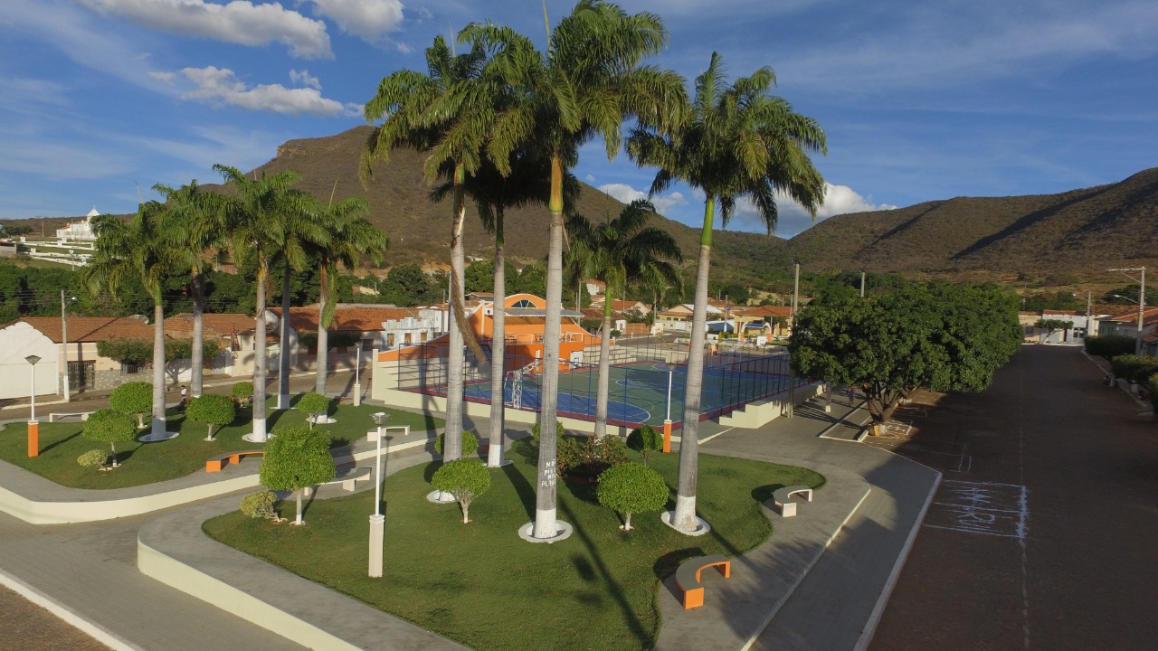 Palmas de Monte Alto ao fundo